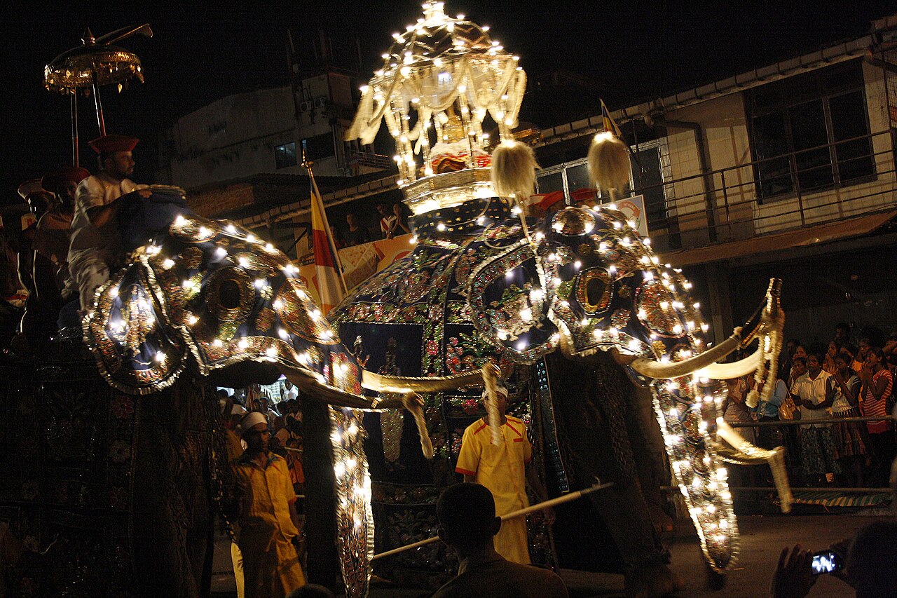 Caparisoned elephants in the Kandy Esala Perahera