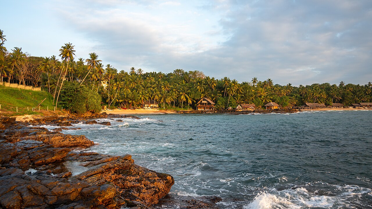 Palms leaning over Goyambokka beach near Tangalle